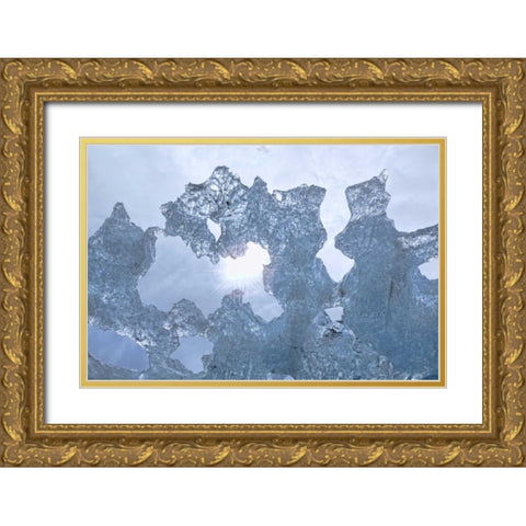 AK Sun shining through ice of McBride Glacier Gold Ornate Wood Framed Art Print with Double Matting by Paulson, Don