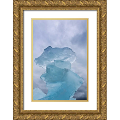 AK, Glacier Bay NP Ice formation and clouds Gold Ornate Wood Framed Art Print with Double Matting by Paulson, Don