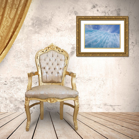 AK, Glacier Bay Ice formation on McBride Glacier Gold Ornate Wood Framed Art Print with Double Matting by Paulson, Don