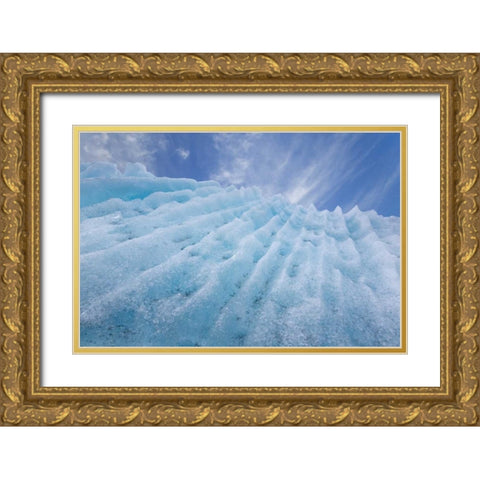 AK, Glacier Bay Ice formation on McBride Glacier Gold Ornate Wood Framed Art Print with Double Matting by Paulson, Don
