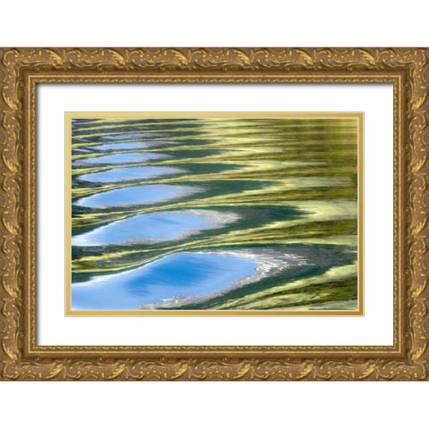 AK, Glacier Bay NP Water patterns Gold Ornate Wood Framed Art Print with Double Matting by Paulson, Don