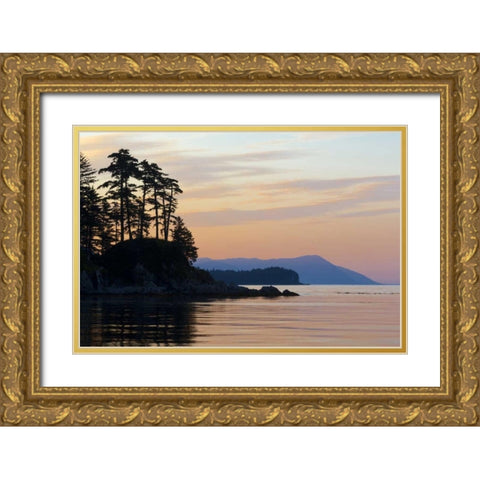 Alaska, Tenakee Springs Sunset on Basket Bay Gold Ornate Wood Framed Art Print with Double Matting by Paulson, Don