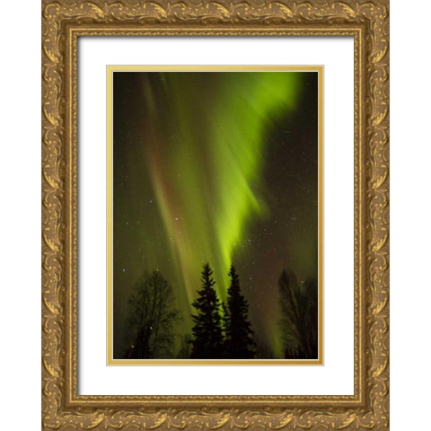 Alaska, Chena Hot Springs Aurora borealis Gold Ornate Wood Framed Art Print with Double Matting by Illg, Cathy and Gordon