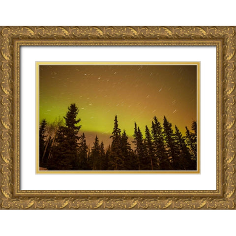 AK, Fairbanks Aurora borealis and star trails Gold Ornate Wood Framed Art Print with Double Matting by Illg, Cathy and Gordon