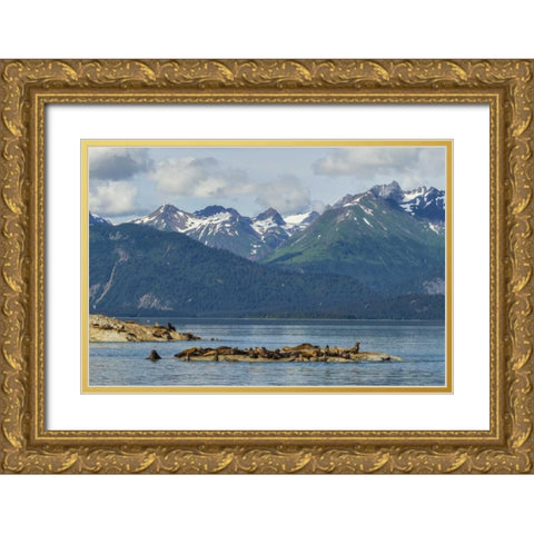 Alaska, Glacier Bay NP Stellars sea lions Gold Ornate Wood Framed Art Print with Double Matting by Illg, Cathy and Gordon