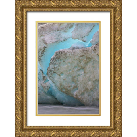 Alaska, Glacier Bay NP Scenic of Reid Glacier Gold Ornate Wood Framed Art Print with Double Matting by Paulson, Don