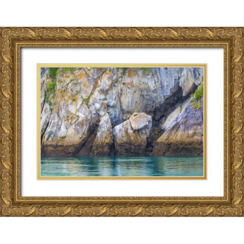 Alaska, Glacier Bay NP Cliff and seawater Gold Ornate Wood Framed Art Print with Double Matting by Paulson, Don
