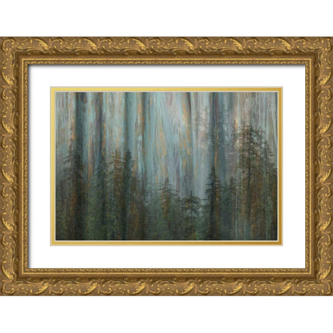 AK, Misty Fiords NM Abstract of trees and forest Gold Ornate Wood Framed Art Print with Double Matting by Paulson, Don