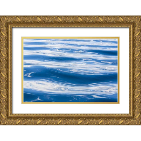 Alaska Water abstract Gold Ornate Wood Framed Art Print with Double Matting by Paulson, Don