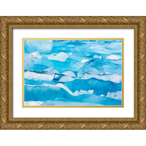 Alaska, Glacier Bay NP Close-up of blue ice Gold Ornate Wood Framed Art Print with Double Matting by Paulson, Don