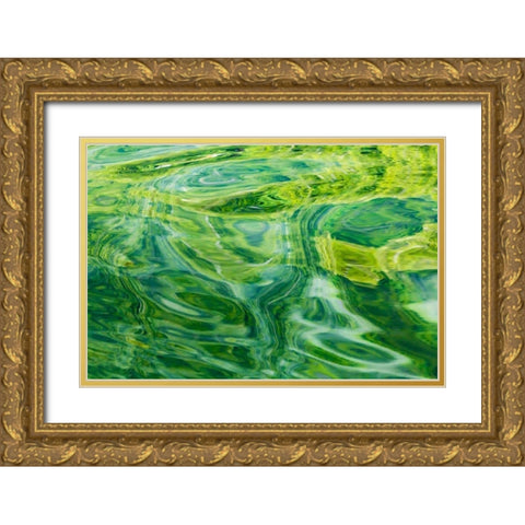 AK, Glacier Bay NP, Dundas Bay Abstract of water Gold Ornate Wood Framed Art Print with Double Matting by Paulson, Don