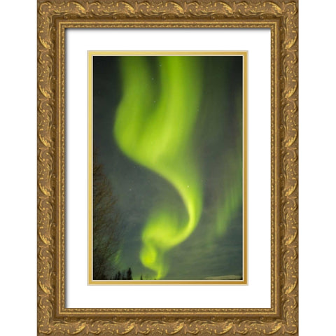 USA, Alaska Aurora borealis pattern Gold Ornate Wood Framed Art Print with Double Matting by Illg, Cathy and Gordon