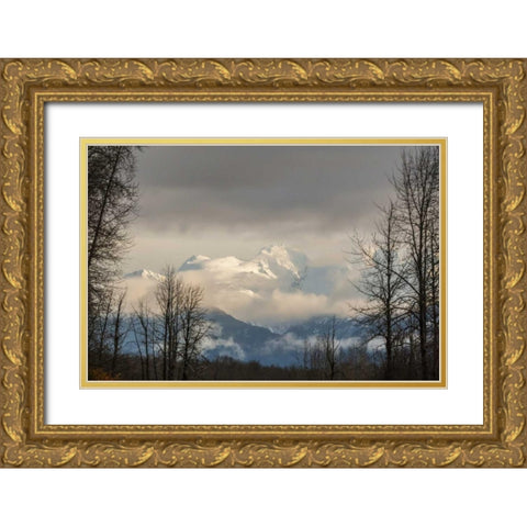 Alaska, Chilkat River Valley Snowy mountains Gold Ornate Wood Framed Art Print with Double Matting by Illg, Cathy and Gordon