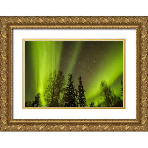 USA, Alaska Aurora borealis over forest Gold Ornate Wood Framed Art Print with Double Matting by Illg, Cathy and Gordon
