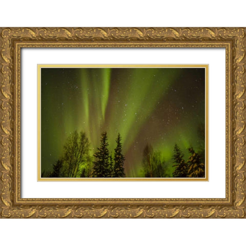 USA, Alaska Aurora borealis over forest Gold Ornate Wood Framed Art Print with Double Matting by Illg, Cathy and Gordon
