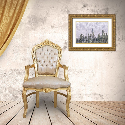 Alaska-Fairbanks Frosty forest landscape Gold Ornate Wood Framed Art Print with Double Matting by Jaynes Gallery
