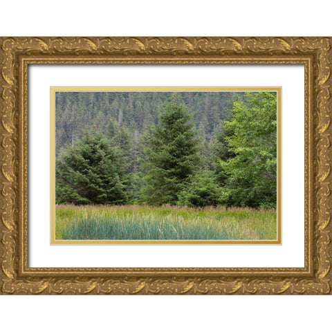 Alaska-Tongass National Forest Meadow and forest landscape  Gold Ornate Wood Framed Art Print with Double Matting by Jaynes Gallery