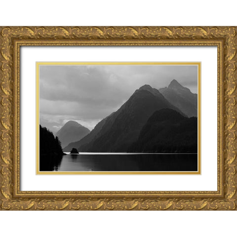 Alaska-Tongass National Forest BandW of stormy landscape on Lisianski Inlet  Gold Ornate Wood Framed Art Print with Double Matting by Jaynes Gallery