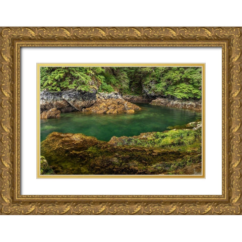 Alaska-Chichagof Island Basket Creek scenic  Gold Ornate Wood Framed Art Print with Double Matting by Jaynes Gallery
