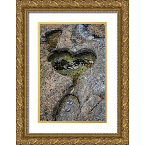 Alaska-Chichagof Island-Basket Bay Heart-shaped pool in rock  Gold Ornate Wood Framed Art Print with Double Matting by Jaynes Gallery