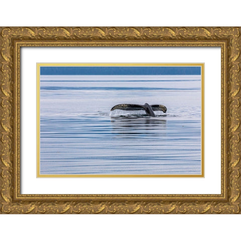 Alaska-Chatham Strait Humpback whale diving  Gold Ornate Wood Framed Art Print with Double Matting by Jaynes Gallery