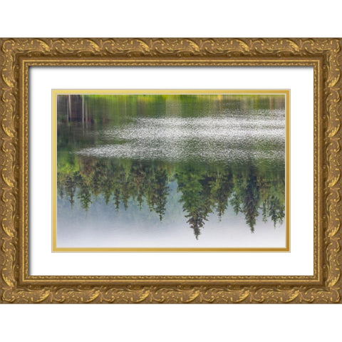 Alaska-Sitka Forest reflection in Swan Lake  Gold Ornate Wood Framed Art Print with Double Matting by Jaynes Gallery