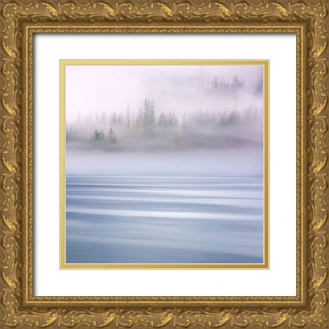 Alaska-Endicott Arm Foggy morning at Fords Terror Gold Ornate Wood Framed Art Print with Double Matting by Jaynes Gallery