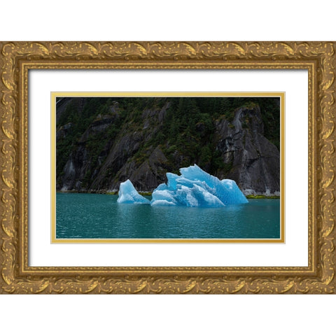 Usa-Alaska This perfect iceberg floats in the blue waters of Endicott Arm Gold Ornate Wood Framed Art Print with Double Matting by Sederquist, Betty
