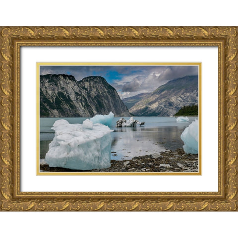 Beached icebergs from nearby McBride Glacier sit on a Muir Inlet beach. Gold Ornate Wood Framed Art Print with Double Matting by Sederquist, Betty