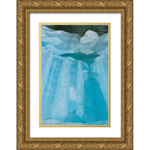 Iceberg textures. Gold Ornate Wood Framed Art Print with Double Matting by Sederquist, Betty