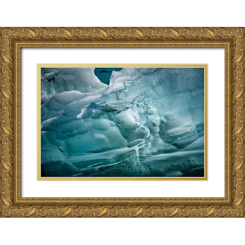Iceberg textures. Gold Ornate Wood Framed Art Print with Double Matting by Sederquist, Betty