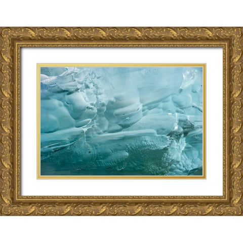 Iceberg textures. Gold Ornate Wood Framed Art Print with Double Matting by Sederquist, Betty