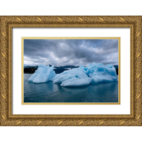 Iceberg glows in Endicott Arm. Gold Ornate Wood Framed Art Print with Double Matting by Sederquist, Betty