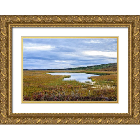 USA- Alaska- Noatak National Preserve. Wetlands in the arctic tundra. Gold Ornate Wood Framed Art Print with Double Matting by Norrsell, Fredrik