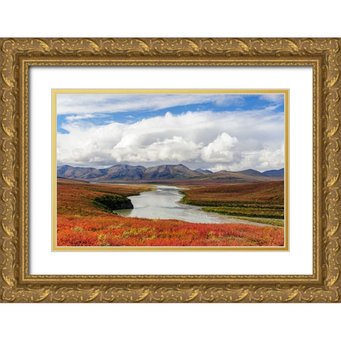 USA- Alaska- Noatak National Preserve. Arctic tundra in autumn colors along the Noatak River. Gold Ornate Wood Framed Art Print with Double Matting by Norrsell, Fredrik