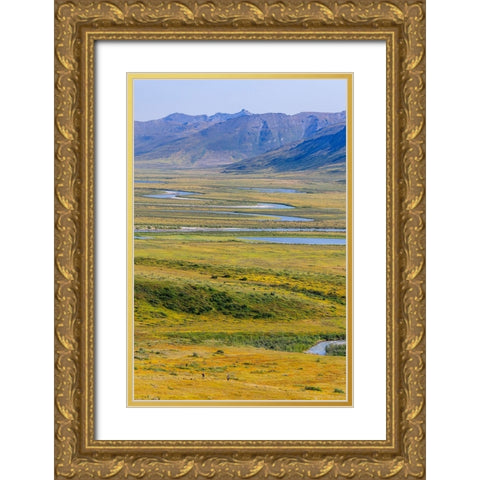USA- Alaska- Gates of the Arctic National Park- Noatak River. Oxbow bends on the upper river. Gold Ornate Wood Framed Art Print with Double Matting by Norrsell, Fredrik