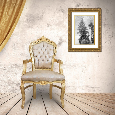 Alaska- Kenai Peninsula. Black and white image of pine tree on a monolith. Gold Ornate Wood Framed Art Print with Double Matting by Muir, Janet