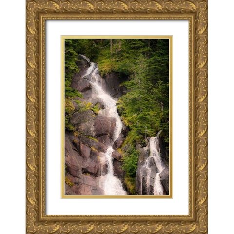 Kenai Peninsula. Two waterfalls surrounded by pine trees Gold Ornate Wood Framed Art Print with Double Matting by Muir, Janet