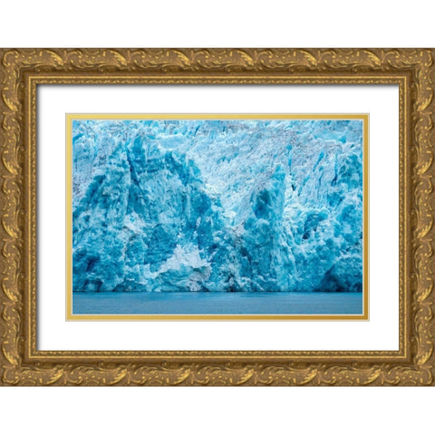 LeConte glacier-LeConte Bay-Alaska-USA Gold Ornate Wood Framed Art Print with Double Matting by Engelbrecht, Jim