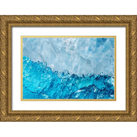 Glacial ice-LeConte Bay-Alaska Gold Ornate Wood Framed Art Print with Double Matting by Engelbrecht, Jim