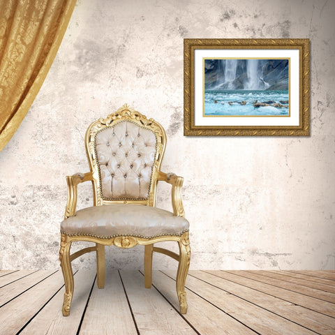 Waterfall-Harbor Seal-LeConte Bay-Alaska Gold Ornate Wood Framed Art Print with Double Matting by Engelbrecht, Jim