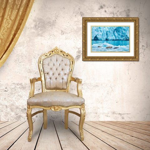 LeConte Glacier-Harbor Seal-LeConte Bay-Alaska-USA Gold Ornate Wood Framed Art Print with Double Matting by Engelbrecht, Jim