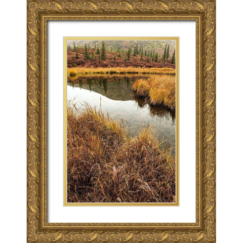 Fall Foliage-Alaska Gold Ornate Wood Framed Art Print with Double Matting by Ford, John