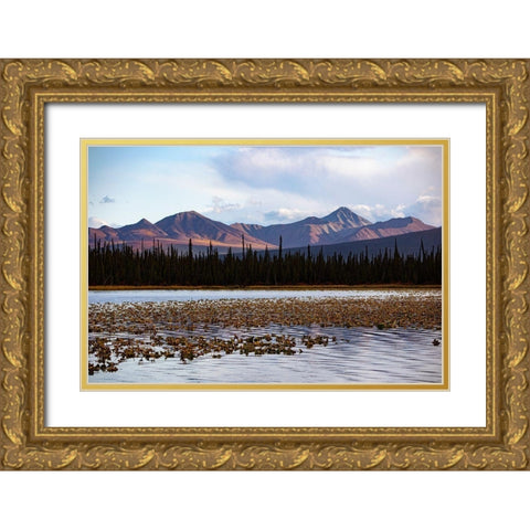 Wrangell Mountains-Alaska-USA Gold Ornate Wood Framed Art Print with Double Matting by Sienda, Jolly