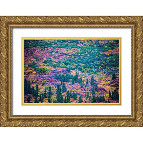 Alaska-autumn color Gold Ornate Wood Framed Art Print with Double Matting by Sienda, Jolly