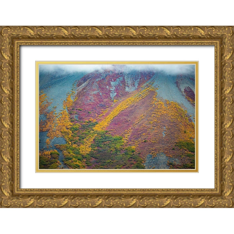 Alaska-autumn color Gold Ornate Wood Framed Art Print with Double Matting by Sienda, Jolly