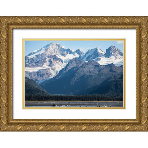 Cook Inlet-Lake Clark National Park and Preserve-Alaska Gold Ornate Wood Framed Art Print with Double Matting by Sienda, Jolly