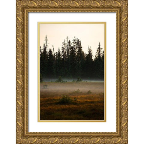 Homer-Alaska-miniature-black spruce-autumn colored field Gold Ornate Wood Framed Art Print with Double Matting by Sienda, Jolly