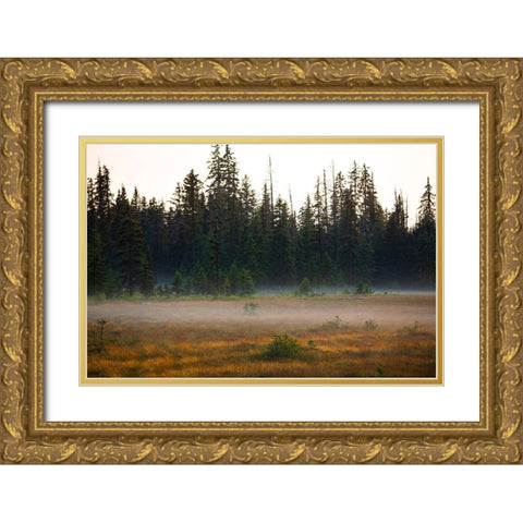 Homer-Alaska-miniature-black spruce-autumn colored field Gold Ornate Wood Framed Art Print with Double Matting by Sienda, Jolly