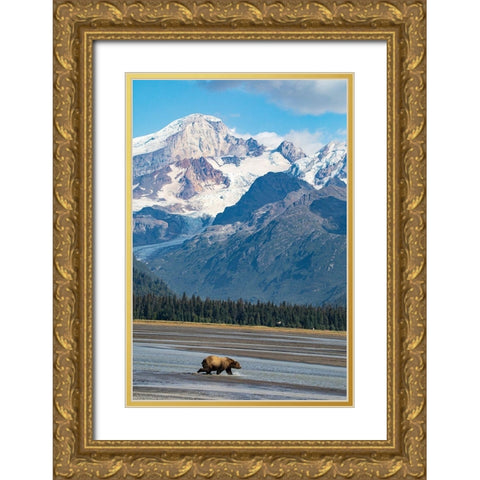 Lake Clark National Park and Preserve-Cook Inlet-Kenai Peninsula-Alaska-brown bear Gold Ornate Wood Framed Art Print with Double Matting by Sienda, Jolly